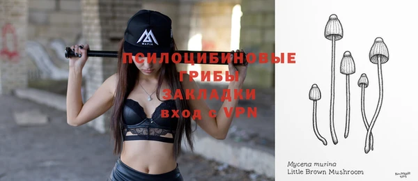 ПСИЛОЦИБИНОВЫЕ ГРИБЫ Беломорск