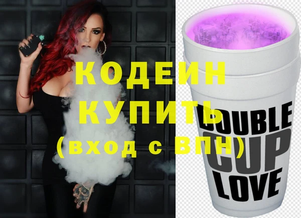 индика Снежногорск